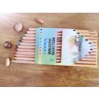 LYRA Super Ferby Waldorf Selection Színesceruza - 12 színű