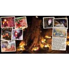 Kerek esztendő - ősz