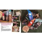 Kerek esztendő - ősz