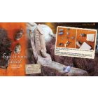 Kerek esztendő - ősz