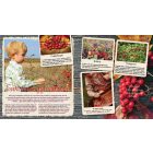 Kerek esztendő - ősz