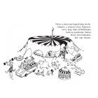 A ló, aki zebra volt 7+ Várszegi Adél