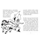 A ló, aki zebra volt 7+ Várszegi Adél