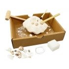 Kagyló felefedező szett 8+  Buki