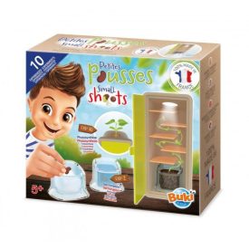 Növénytan, Csíráztató doboz BUKI