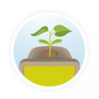 Növénytan, Csíráztató doboz BUKI