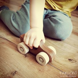 Natúr fa kisautó GOKI