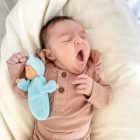 Grimm's  levendula baba