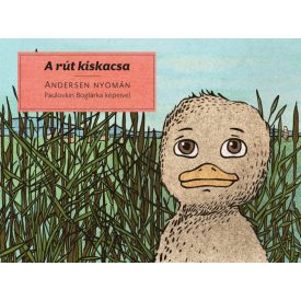A rút kiskacsa - Andersen nyomán