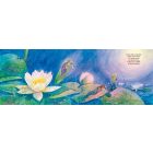 Gyere velem a sellők birodalmába!