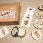  Bogarak nyomdakészlet gyurmával - Zedu Kids