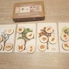 Négy évszak formapárosító - Zedu Kids